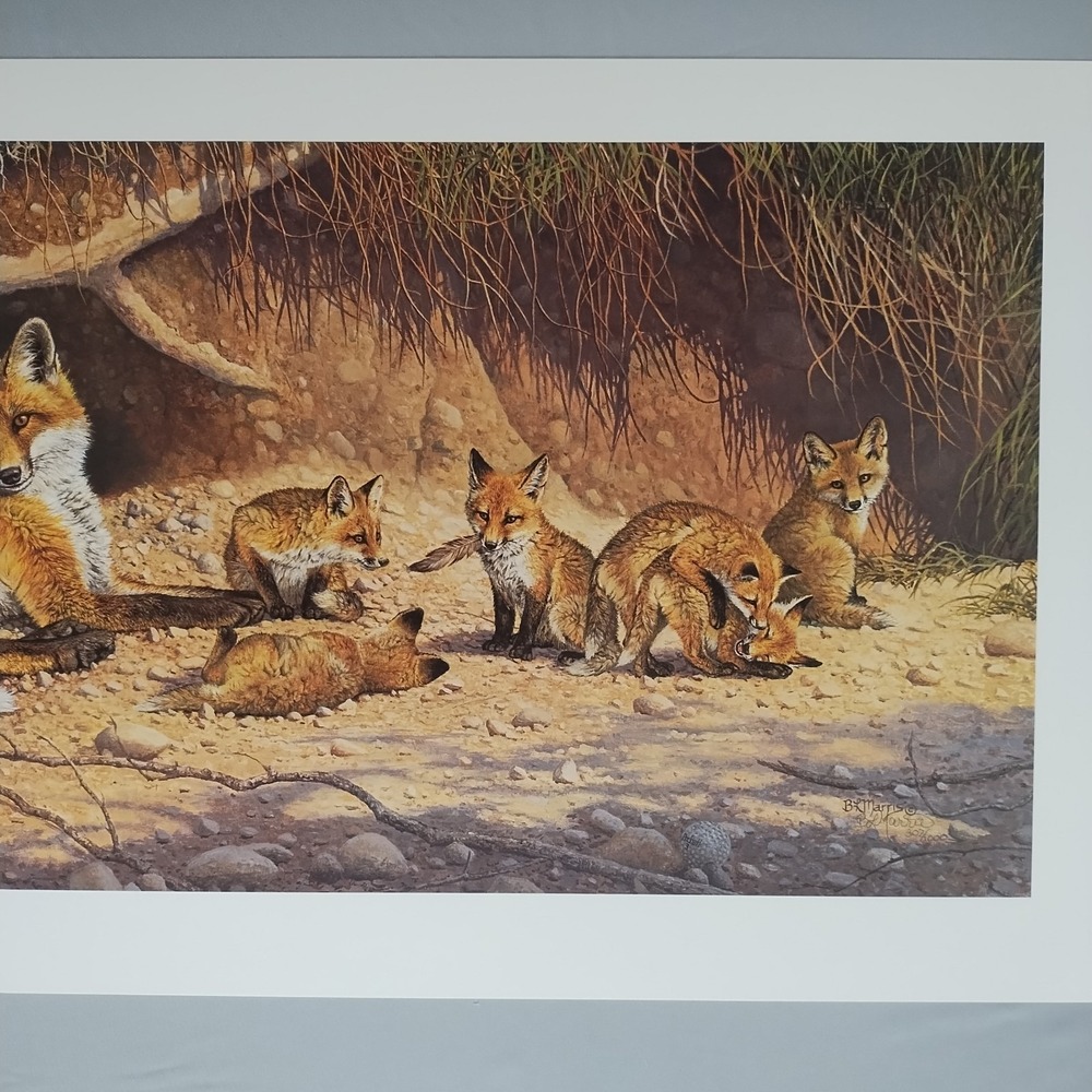 Bonnie Marris Spring Fever Red Fox Family Signed Numbered Lithograph #307/1000 - Picture 3 of 14